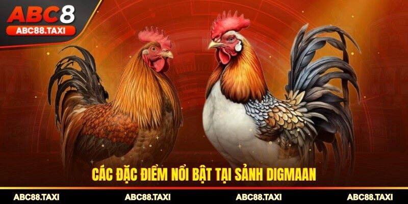 Các đặc điểm nổi bật tại sảnh Digmaan