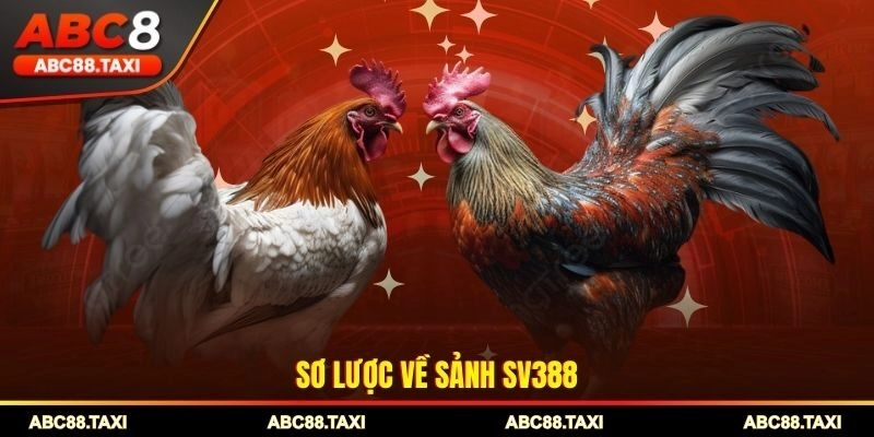 Sơ lược về sảnh SV388