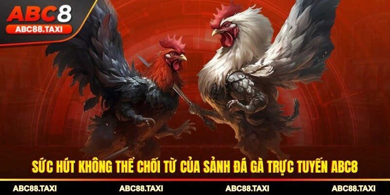 Sức hút không thể chối từ của sảnh đá gà trực tuyến ABC8