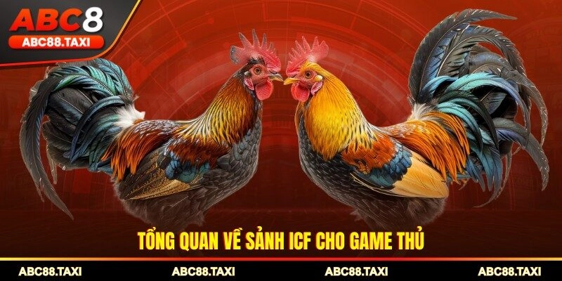 Tổng quan về sảnh ICF cho game thủ