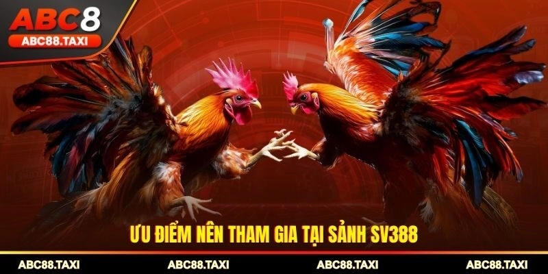 Ưu điểm nên tham gia tại sảnh SV388